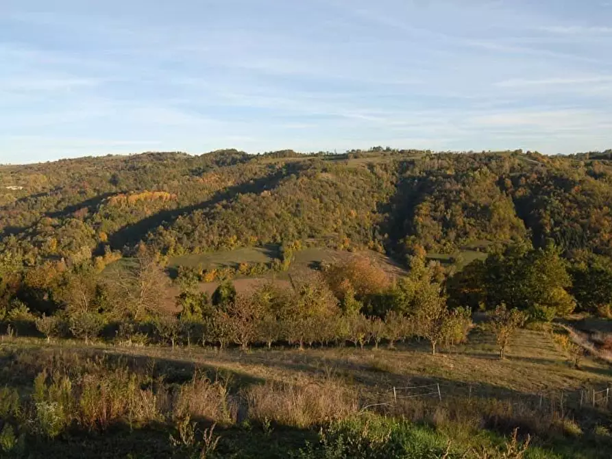 Immagine 36 di Attico in vendita  a Alto