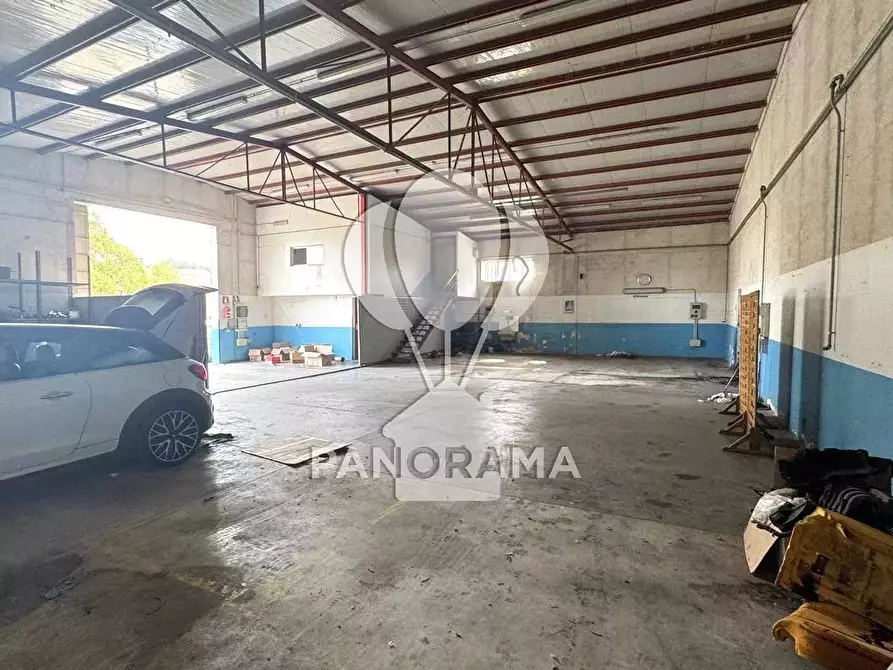 Immagine 10 di Casa bifamiliare in affitto  in Via Vincenzo Durante a Alcamo