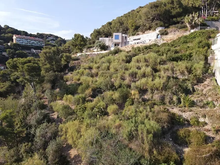 Immagine 8 di Terreno edificabile in vendita  a Bordighera