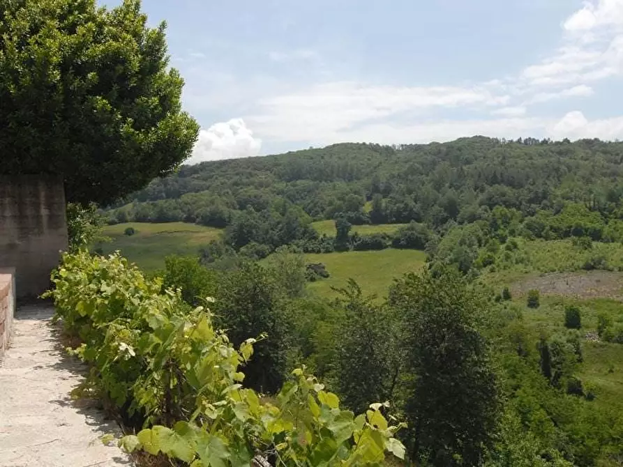 Immagine 18 di Terreno edificabile in vendita  a Albaretto Della Torre