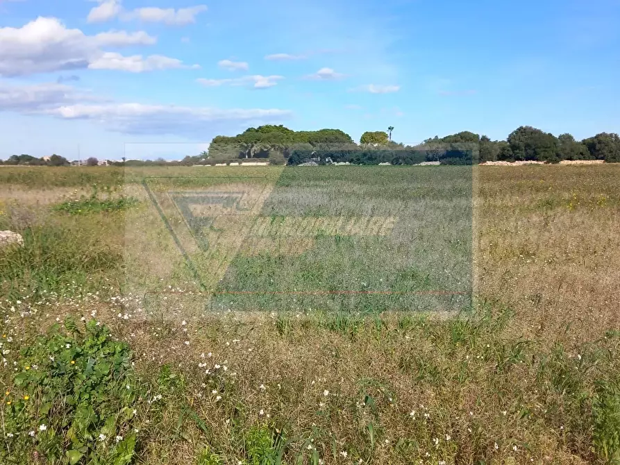 Immagine 8 di Terreno edificabile in vendita  in Via Mallia a Siracusa
