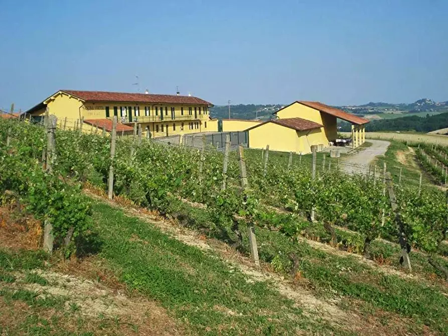 Immagine 3 di Attico in vendita  a Pontestura