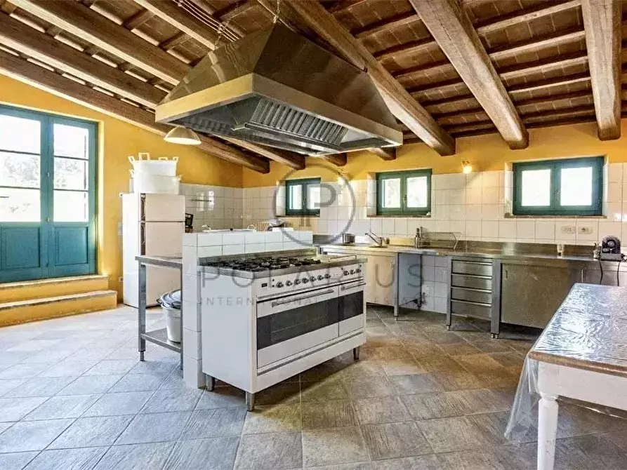 Immagine 26 di Terreno edificabile in vendita  in Serra San Quirico a Serra San Quirico