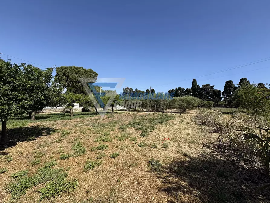 Immagine 23 di Terreno edificabile in vendita  in VIA ISOLA a Siracusa