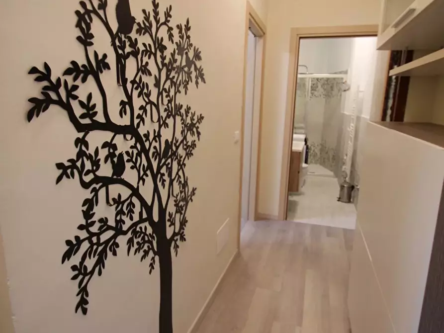 Immagine 14 di Casa trifamiliare in affitto  in Via Tevere, 9 a Borghetto Santo Spirito