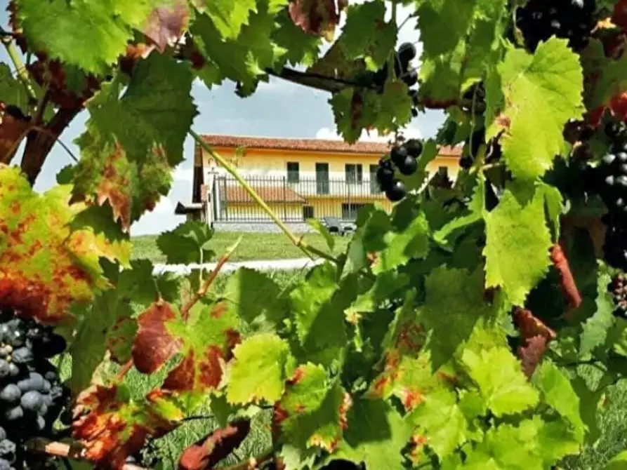 Immagine 6 di Attico in vendita  a Pontestura