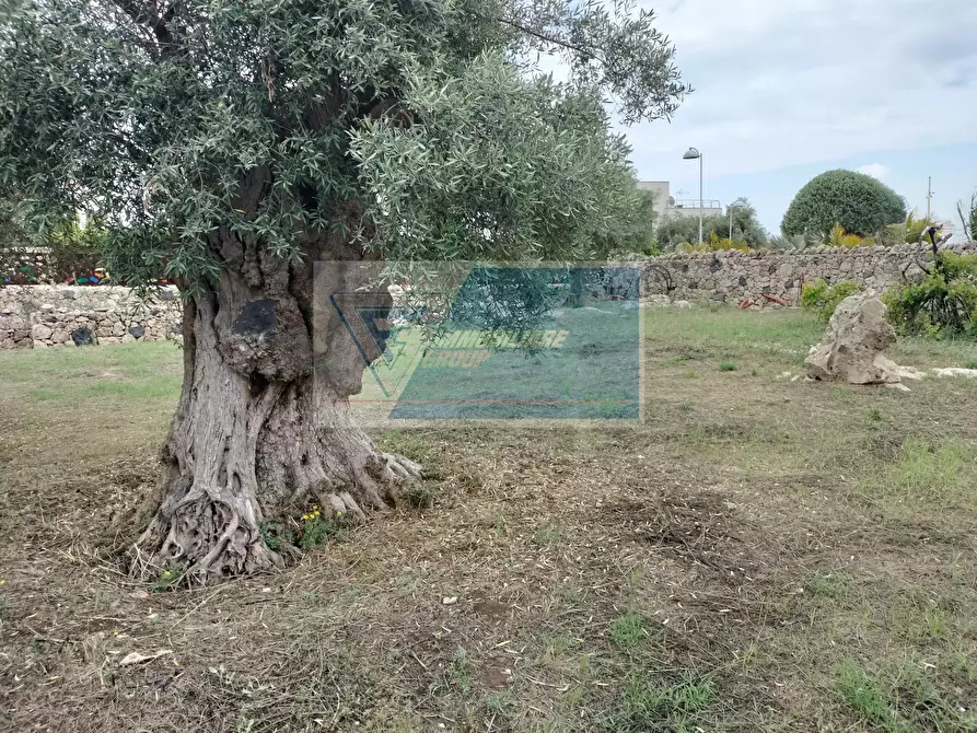 Immagine 16 di Terreno edificabile in vendita  in Traversa Sinerchia a Siracusa