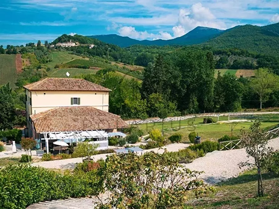 Immagine 8 di Attico in vendita  in Matelica a Esanatoglia