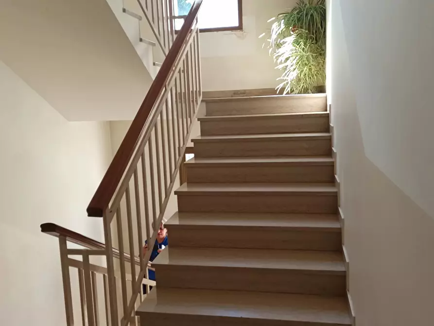 Immagine 29 di Casa trifamiliare in vendita  a Conegliano