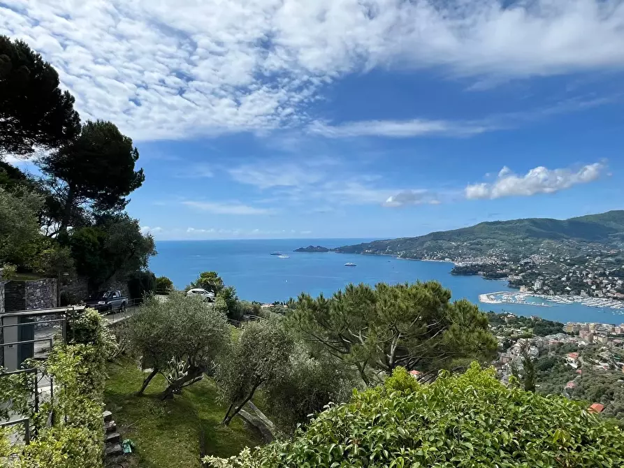 Immagine 8 di Terreno edificabile in vendita  in Via San Bernardo a Avegno