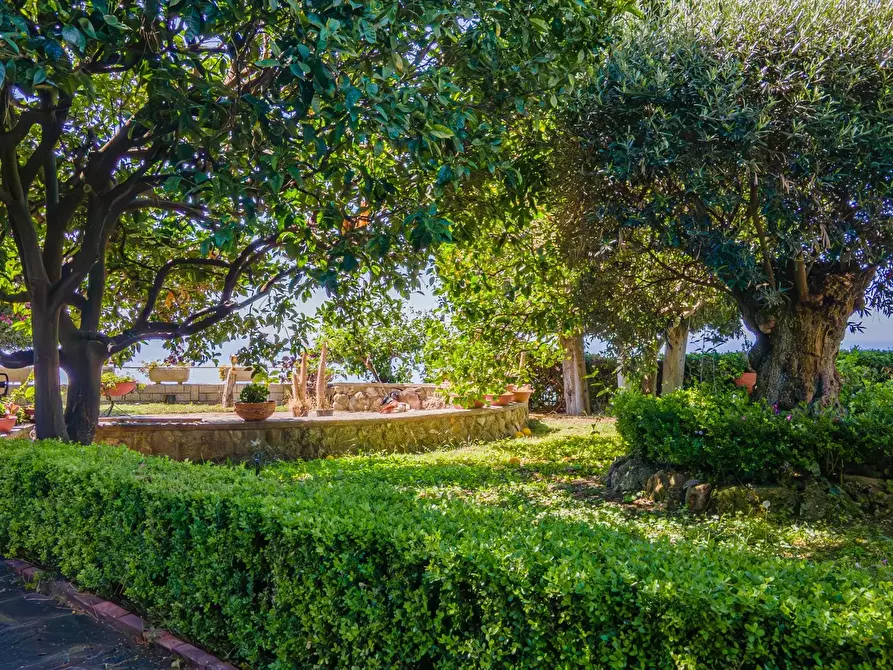 Immagine 4 di Terreno edificabile in vendita  in Via alle Ville 3 a Ventimiglia