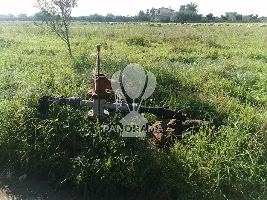 Immagine 2 di Terreno in vendita  in Via San Carlo a Partinico