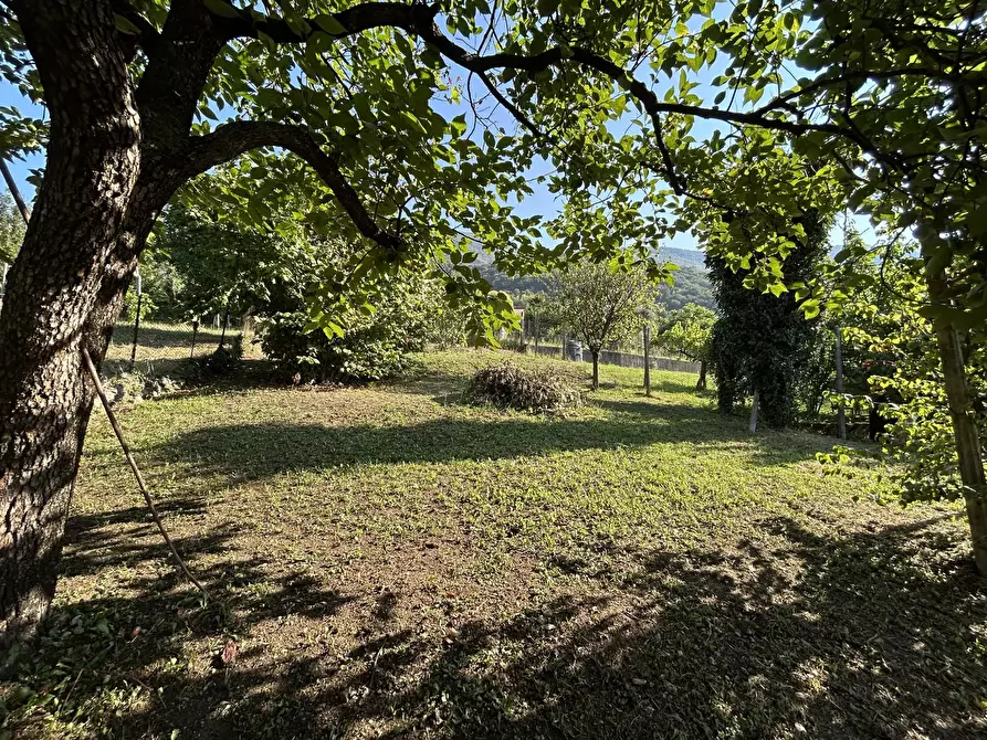 Immagine 2 di Terreno edificabile in vendita  a Cimadolmo
