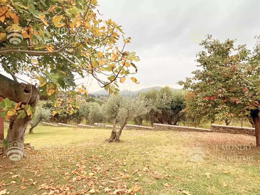 Immagine 43 di Casa trifamiliare in vendita  a Palombara Sabina