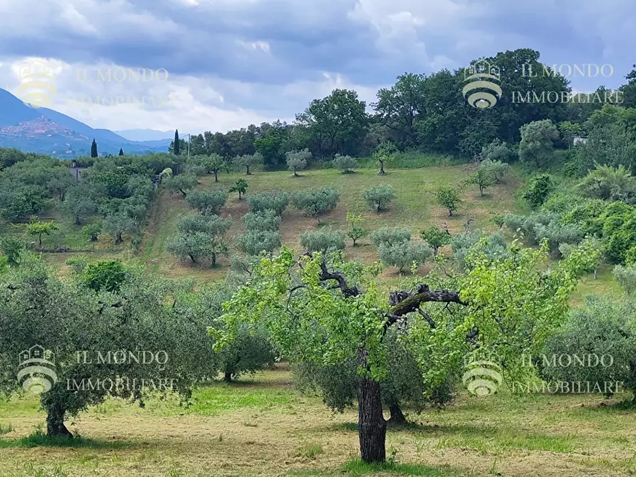 Immagine 4 di Casa bifamiliare in vendita  in Strada di Colle Fagiano a Palombara Sabina