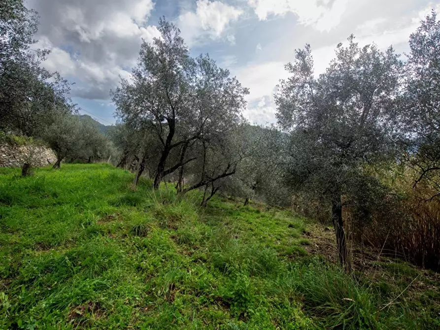 Immagine 50 di Terreno edificabile in vendita  in Via Nansola a Avegno