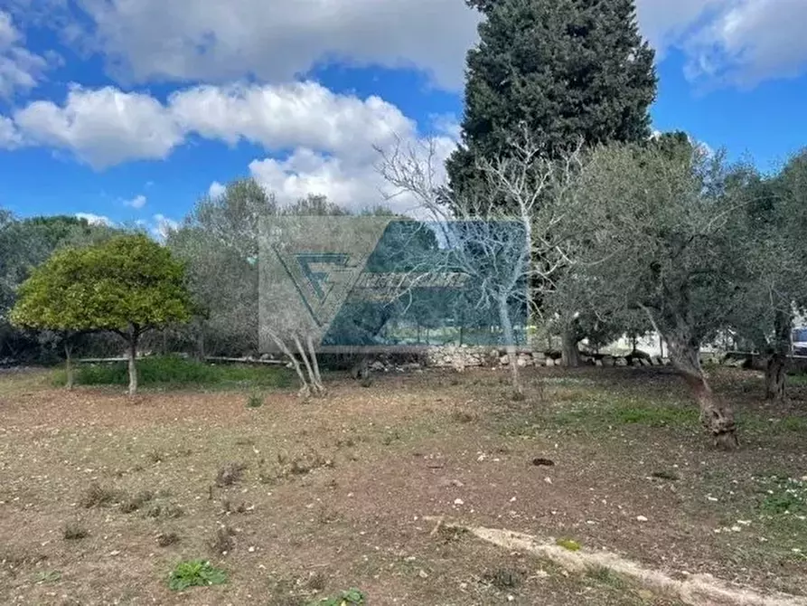 Immagine 3 di Terreno in vendita  in Viale Edoardo Garrone a Buccheri