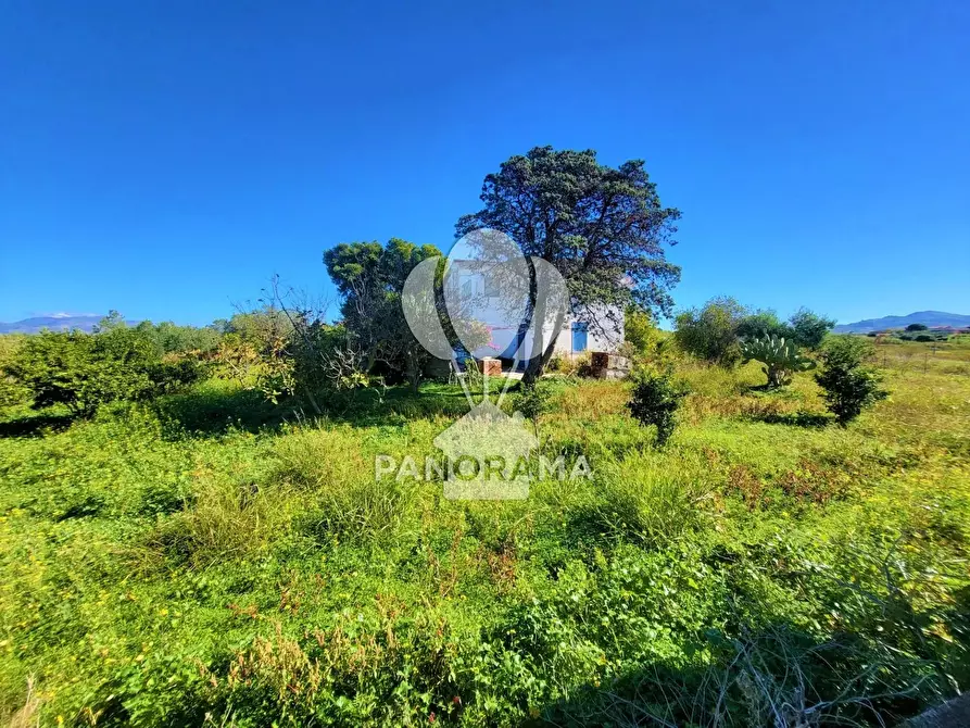 Immagine 17 di Terreno edificabile in vendita  in Contrada Bosco Falconeria a Partinico