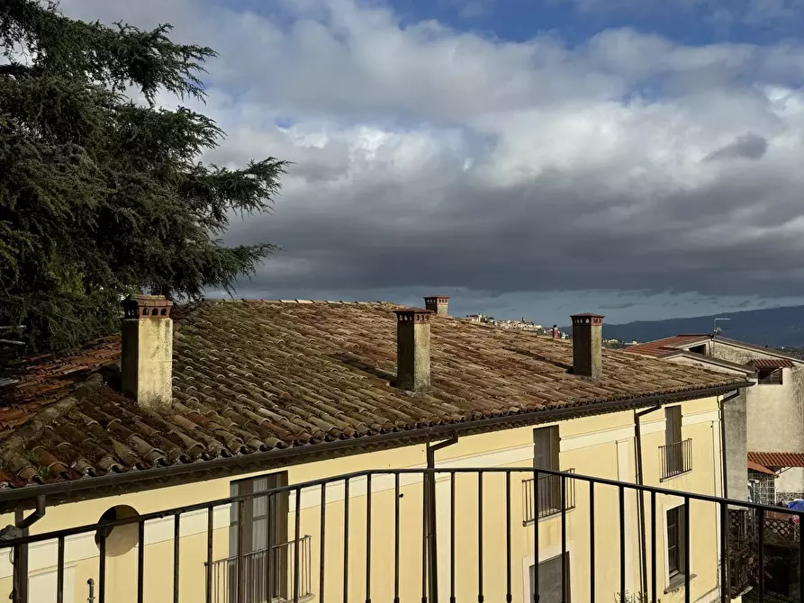 Immagine 38 di Terreno edificabile in vendita  a Altilia