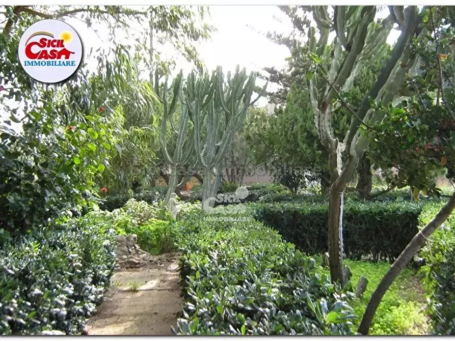 Immagine 5 di Terreno edificabile in vendita  a Marsala