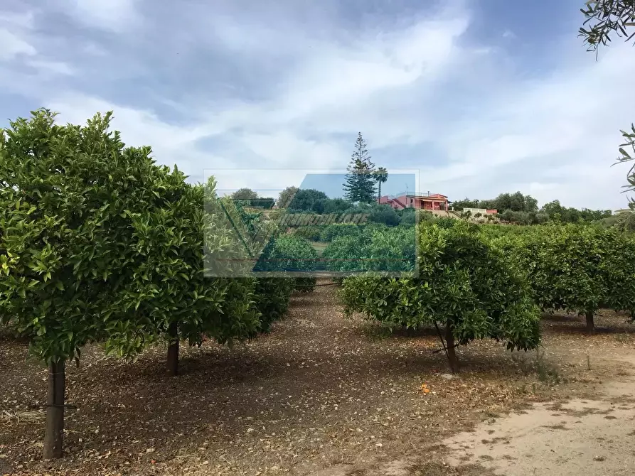 Immagine 2 di Terreno in vendita  a Siracusa