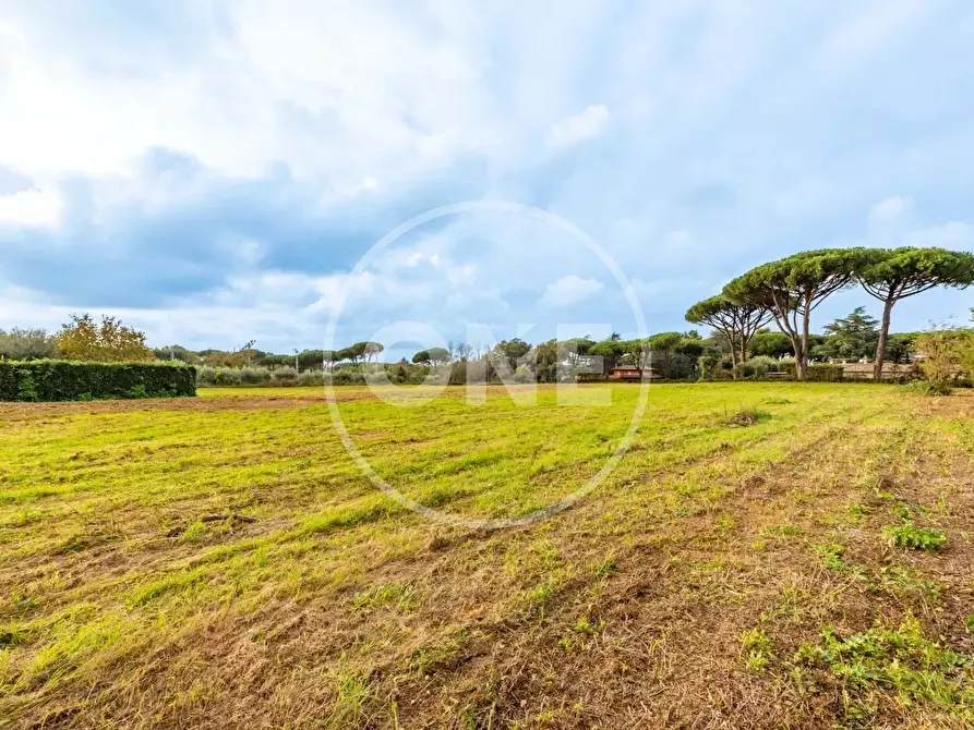 Immagine 1 di Terreno in vendita  in Via dei Castelli Romani a Ardea