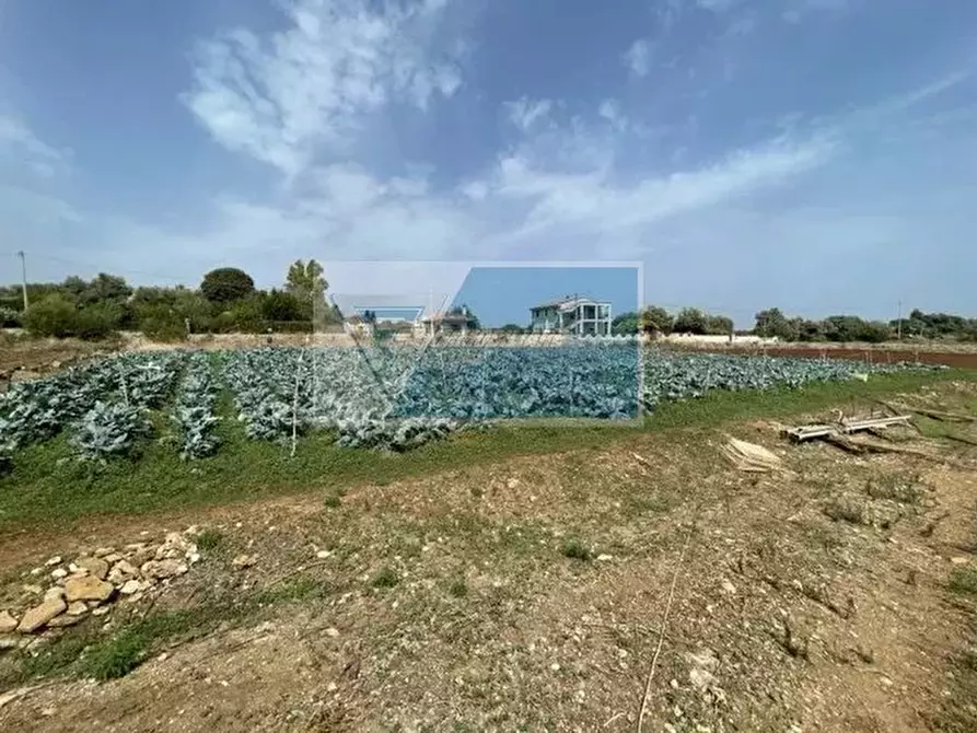 Immagine 11 di Terreno in vendita  in Via per Canicattini a Buccheri