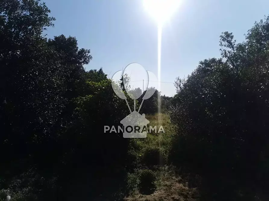 Immagine 3 di Terreno in vendita  in Contrada San Cataldo a Capaci