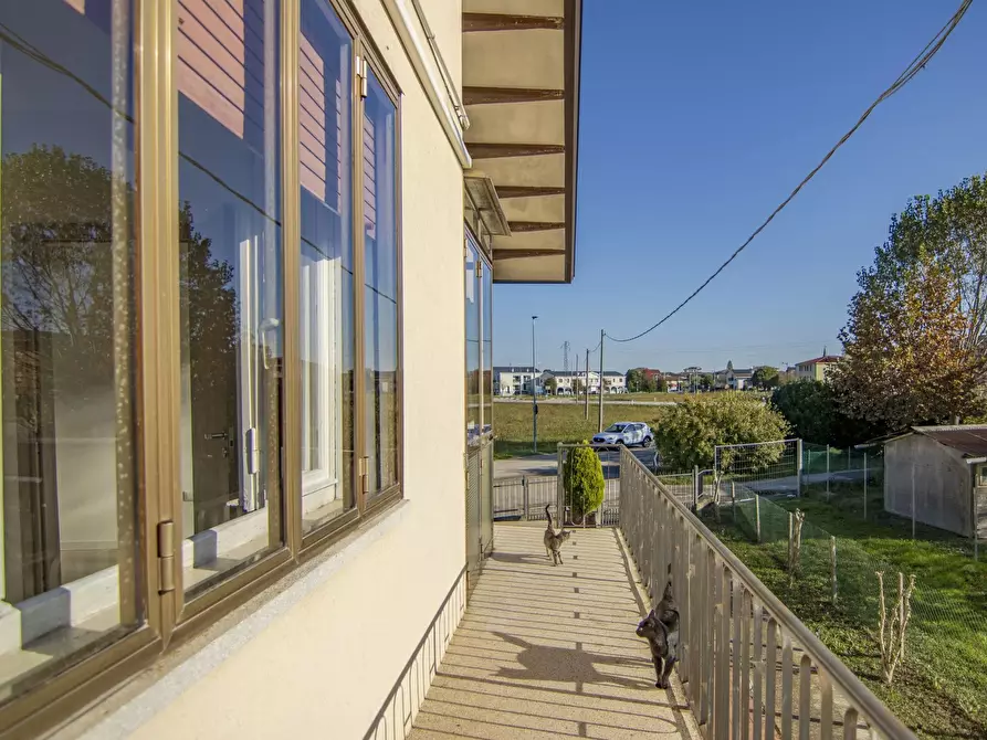 Immagine 41 di Terreno edificabile in vendita  a Bovolenta