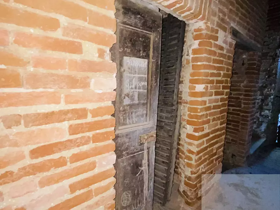 Immagine 5 di Terreno edificabile in vendita  a Bassignana