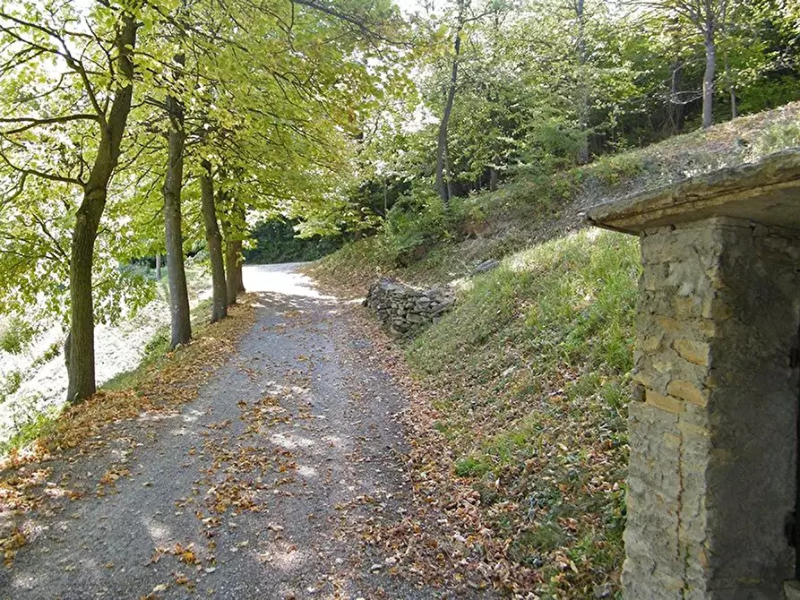 Immagine 15 di Terreno edificabile in vendita  a Barolo