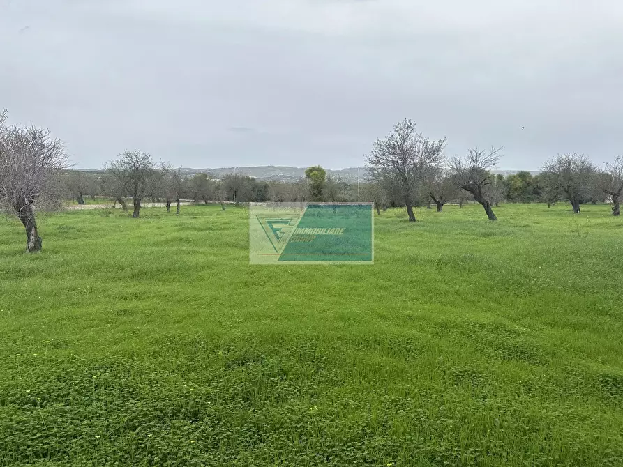 Immagine 27 di Terreno edificabile in vendita  in Rametta noto a Noto