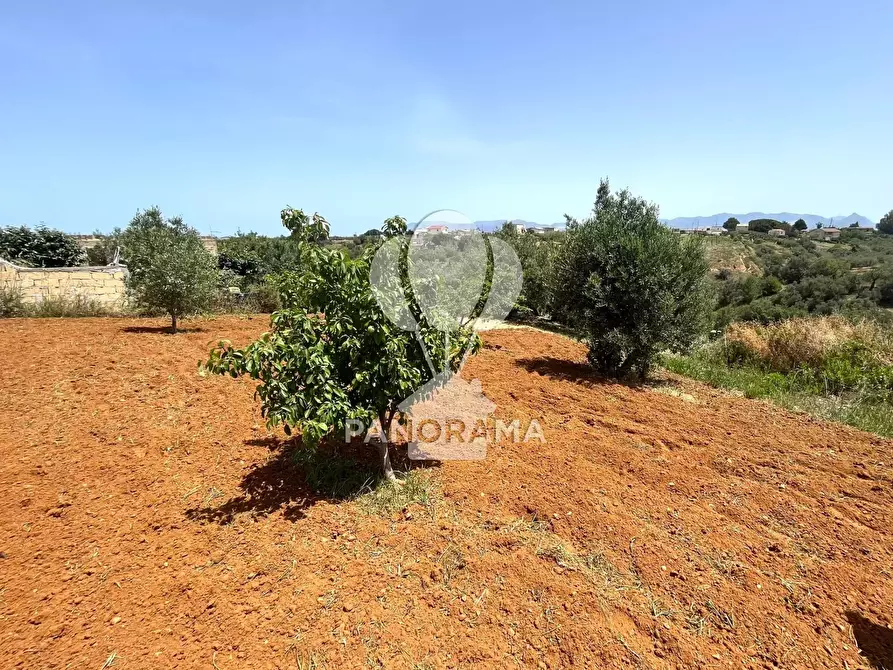 Immagine 9 di Terreno in vendita  in Contrada Vallone del Lupo a Alcamo