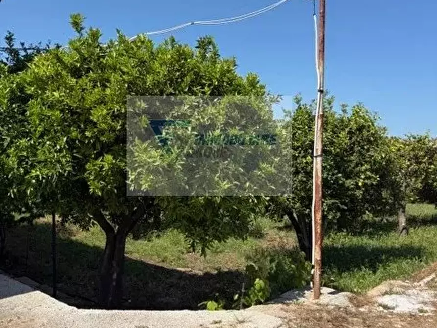 Immagine 38 di Terreno in vendita  in Strada Tremmilia a Siracusa