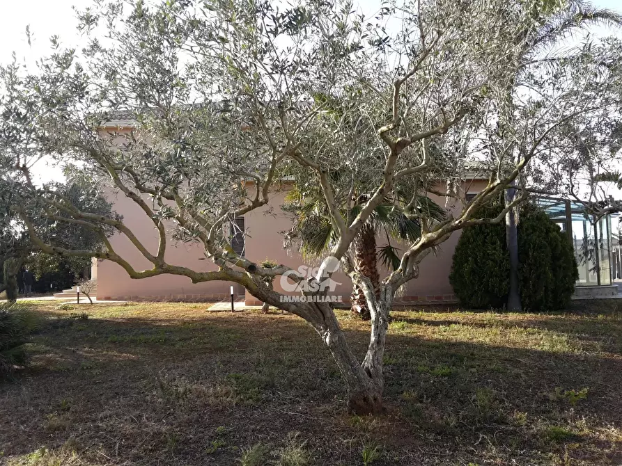 Immagine 20 di Terreno edificabile in vendita  in Contrada Colombaio Lasagna - via Gorizia a Marsala