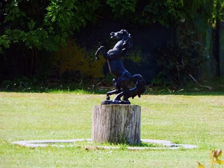 Immagine 20 di Terreno edificabile in vendita  a Barolo