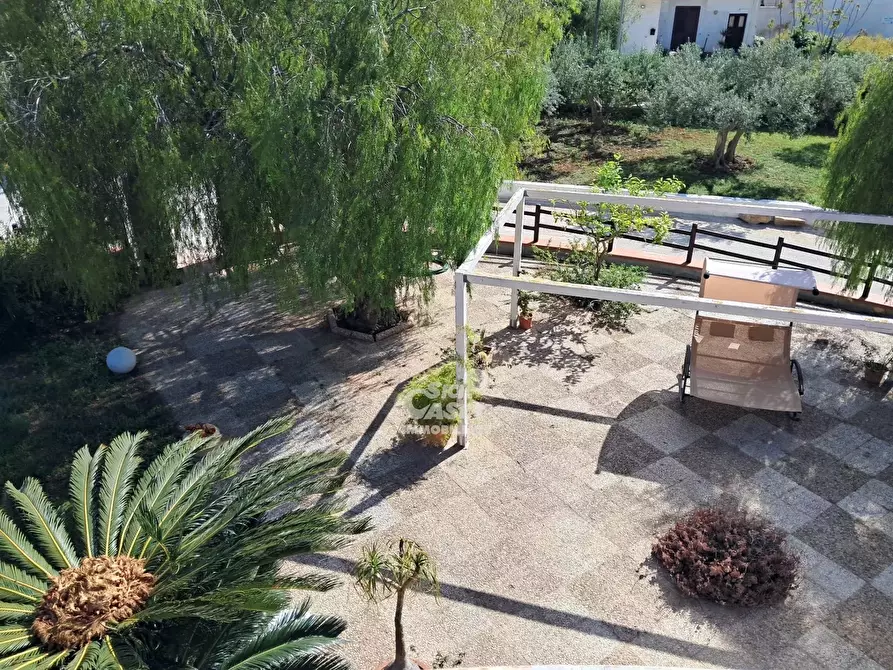 Immagine 11 di Terreno edificabile in affitto  a Marsala