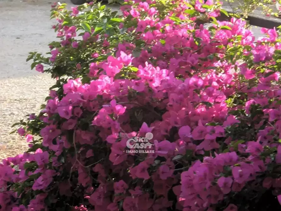 Immagine 7 di Terreno edificabile in vendita  a Marsala