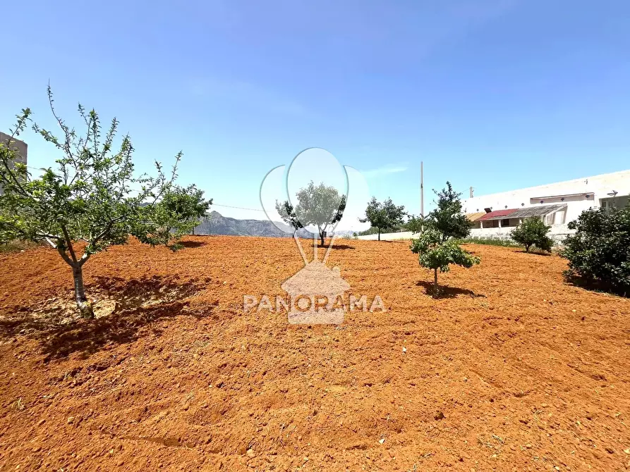 Immagine 11 di Terreno in vendita  in Contrada Vallone del Lupo a Alcamo