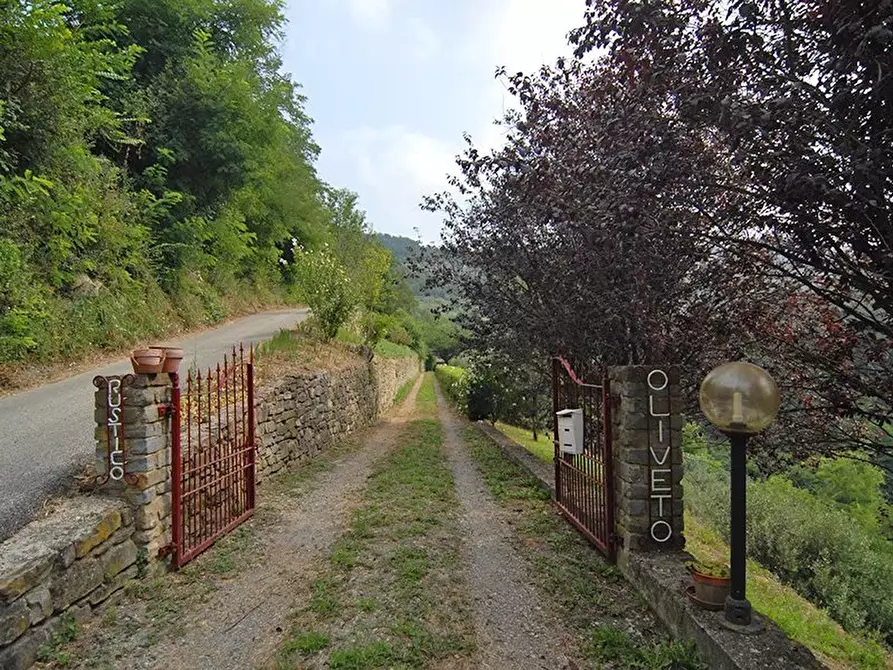 Immagine 22 di Terreno edificabile in vendita  a Bergolo