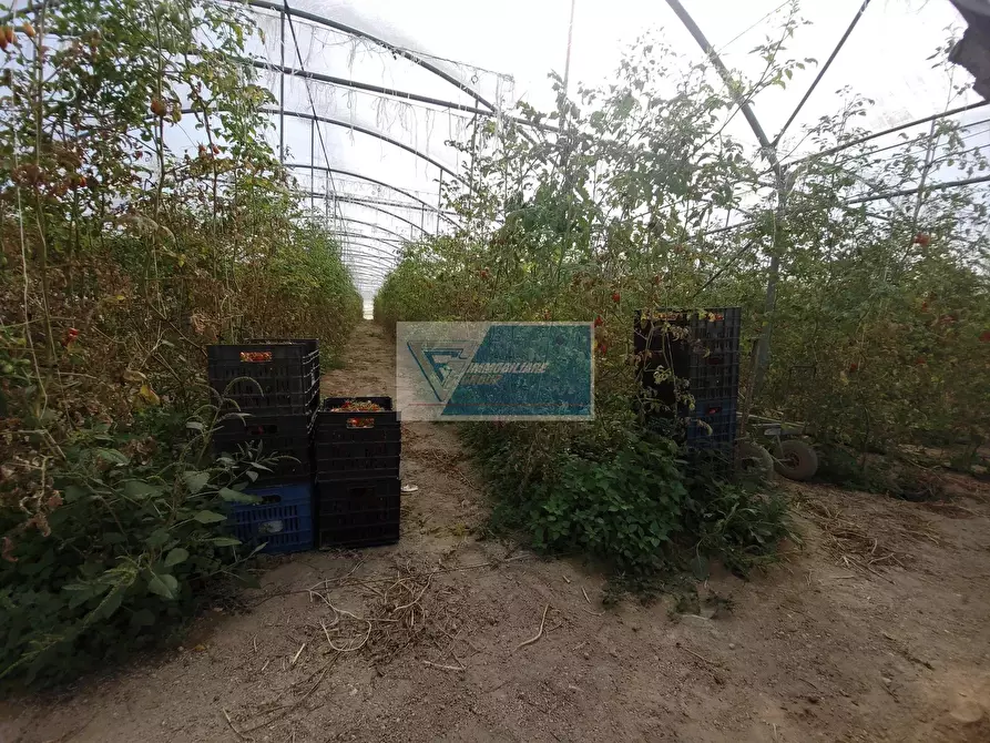 Immagine 11 di Attico in vendita  in CONTRADA GRANELLI a Pachino