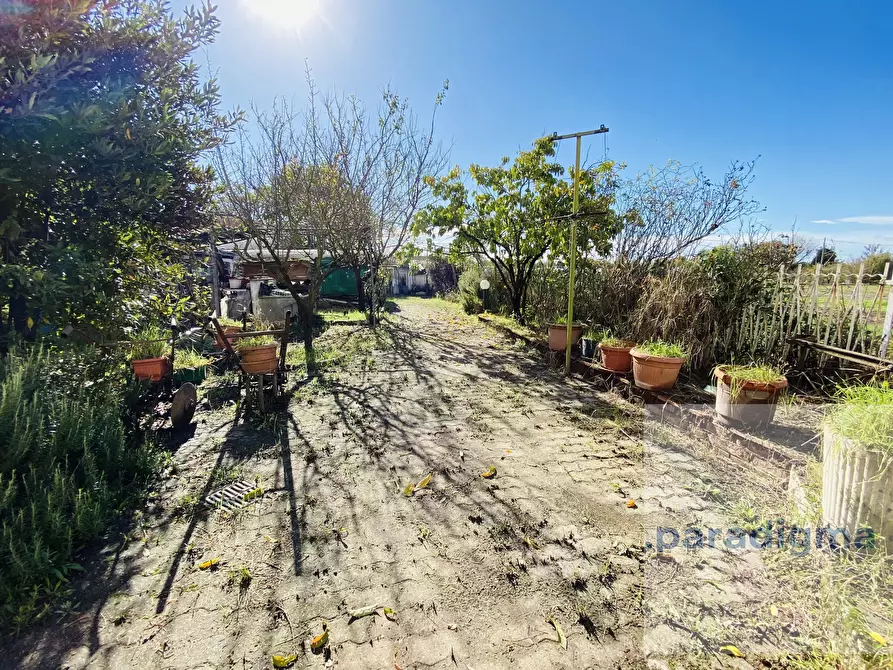 Immagine 5 di Casa trifamiliare in vendita  a Alluvioni Cambio'