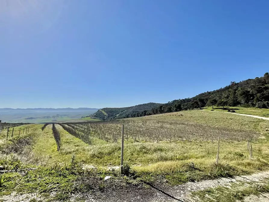 Immagine 1 di Terreno edificabile in vendita  in contrada angimbè a Calatafimi