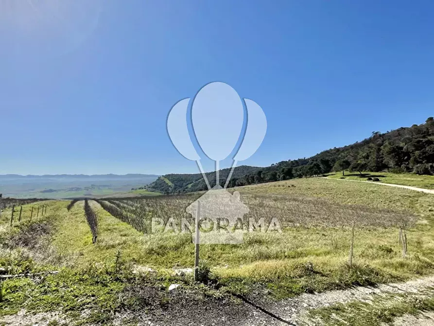 Immagine 1 di Terreno edificabile in vendita  in contrada angimbè a Calatafimi