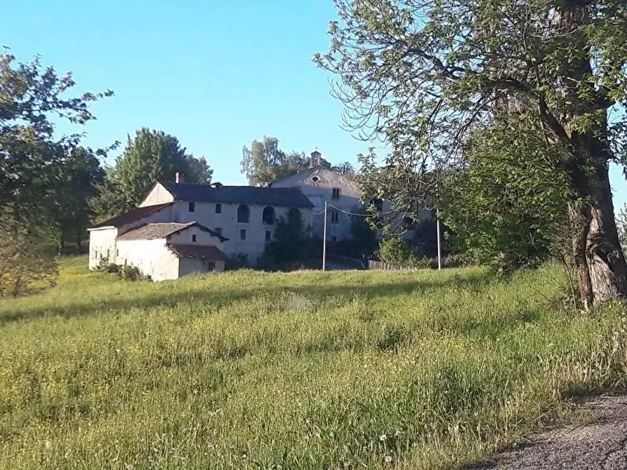 Immagine 4 di Terreno edificabile in vendita  a Pamparato