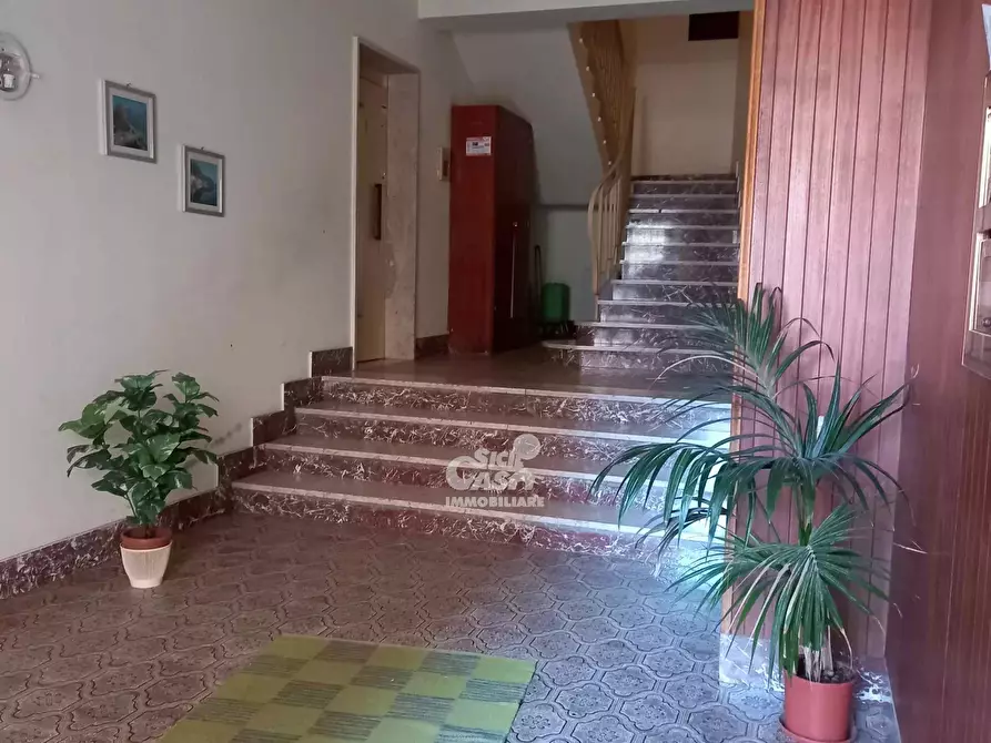 Immagine 3 di Casa trifamiliare in vendita  a Marsala
