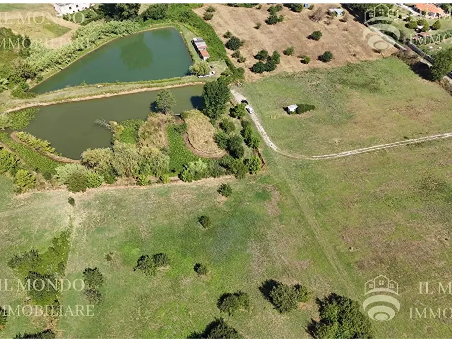 Immagine 3 di Terreno in vendita  in Località Albanetta a Palombara Sabina