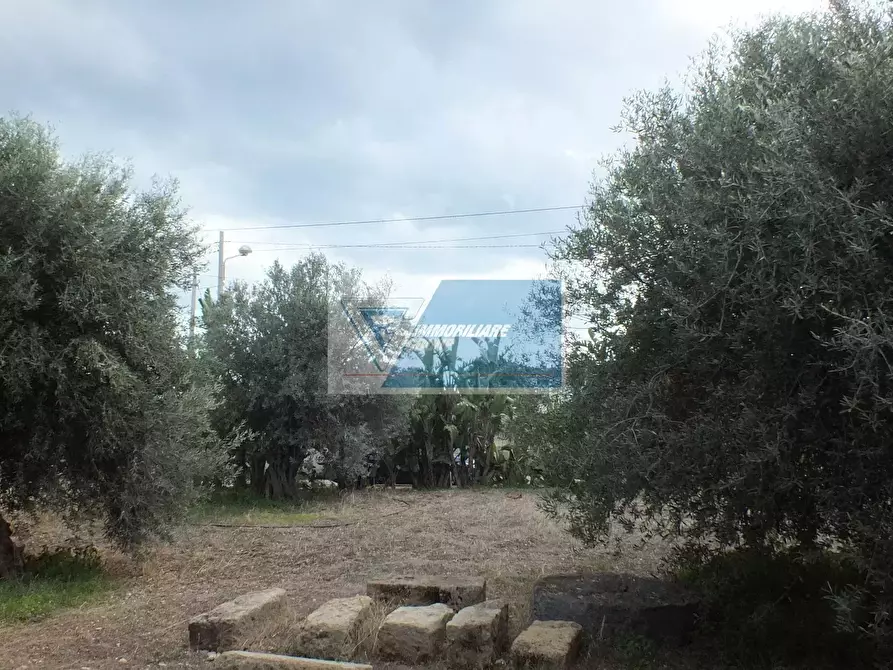 Immagine 11 di Terreno edificabile in vendita  in Via Lipari a Avola