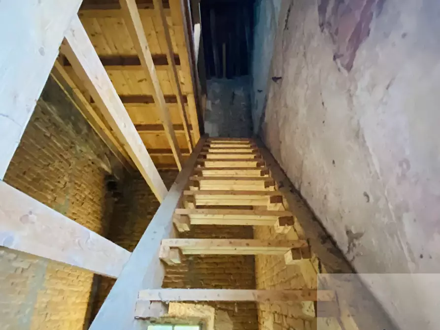 Immagine 4 di Terreno edificabile in vendita  a Bassignana