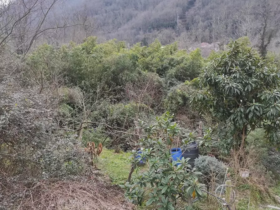 Immagine 22 di Casa trifamiliare in vendita  in Via Pian dei Ratti Pian dei Ratti-pianezza a Coreglia Ligure